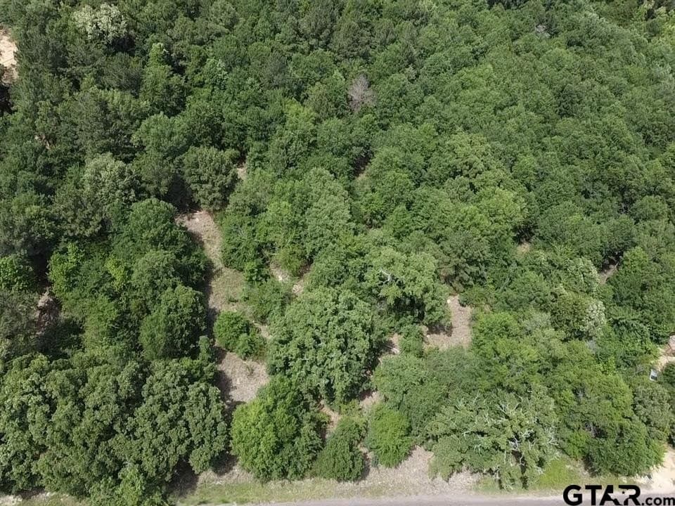 2.01 acres in Wood County - photo 8