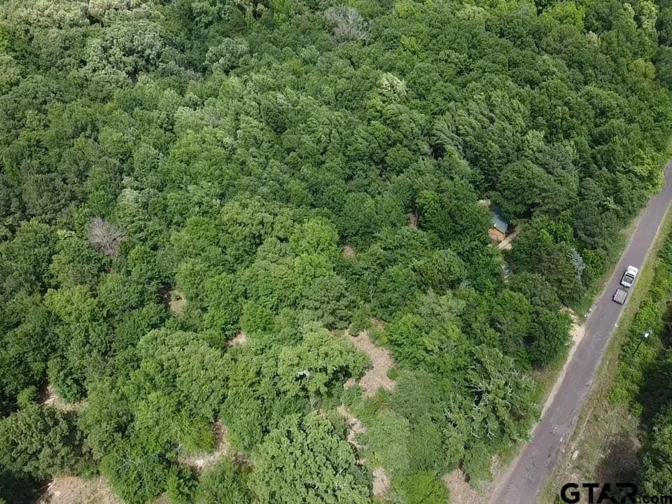 2.01 acres in Wood County - photo 6