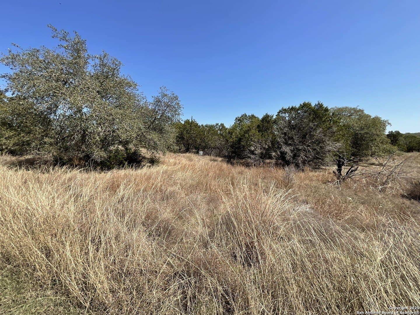 1.33 acres in Comal County - photo 8