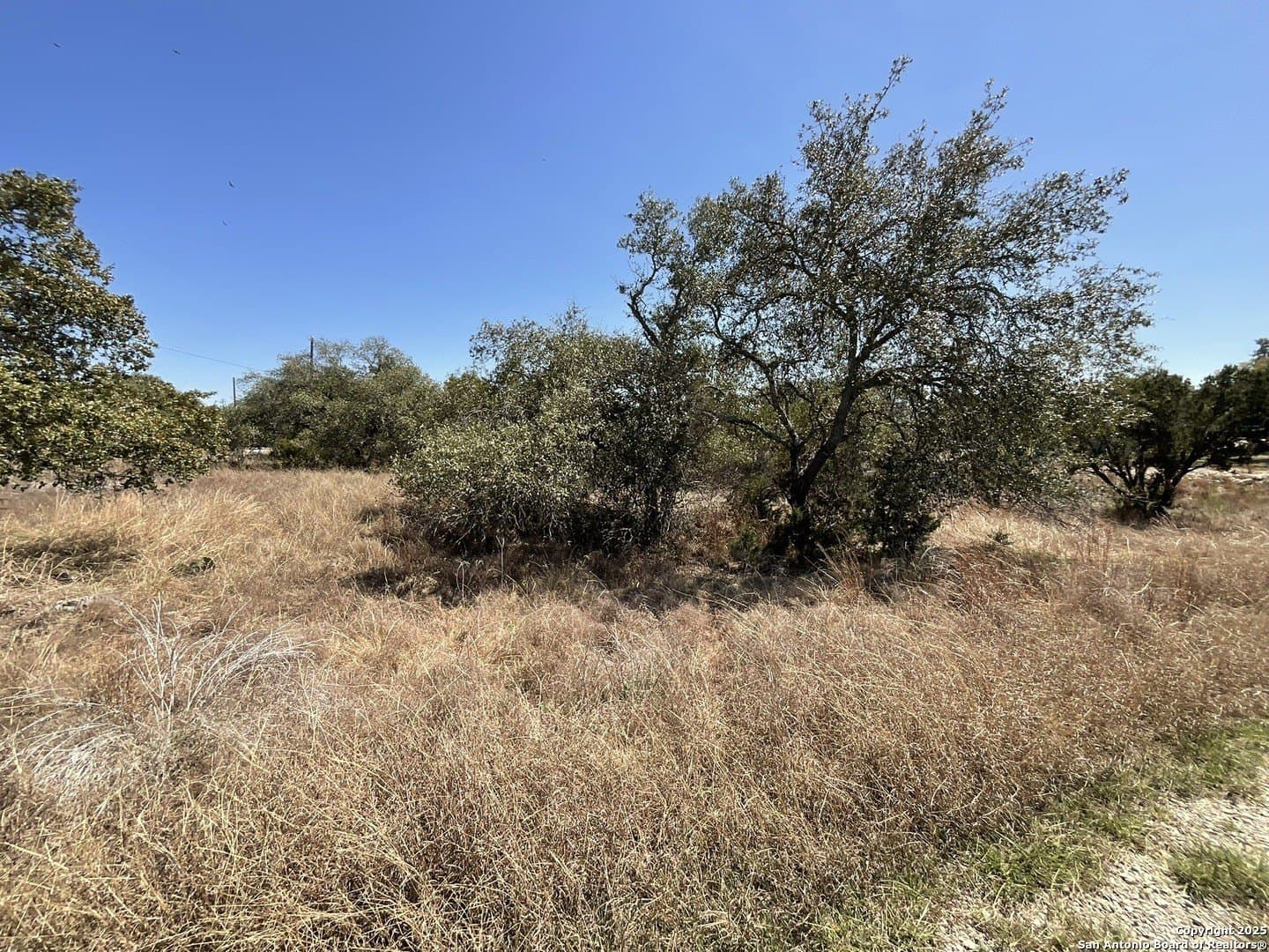 1.33 acres in Comal County gallery image 3