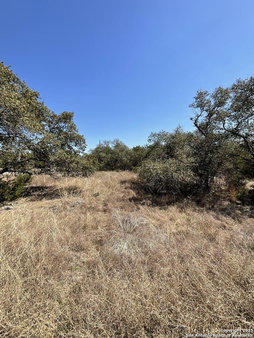 1.33 acres in Comal County - photo 7