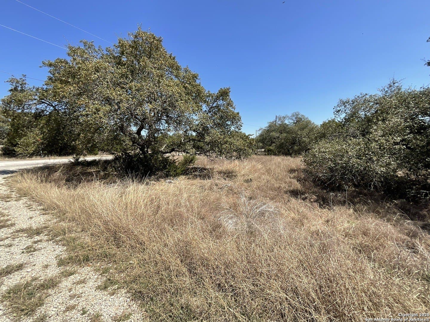1.33 acres in Comal County gallery image 2