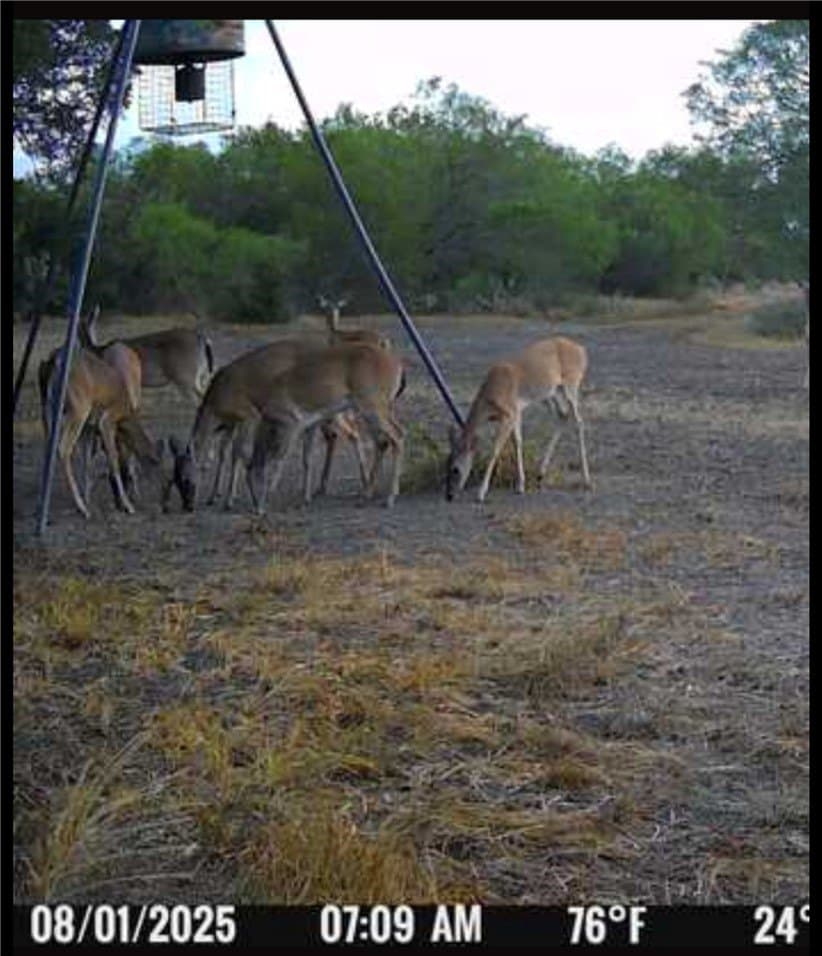 50 acres in Jim Wells County - photo 34
