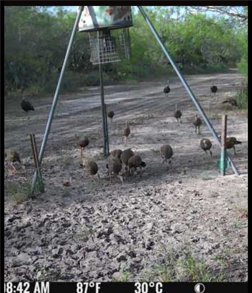 50 acres in Jim Wells County - photo 32