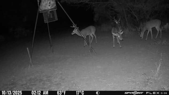50 acres in Jim Wells County - photo 39