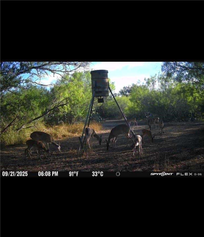 50 acres in Jim Wells County - photo 38