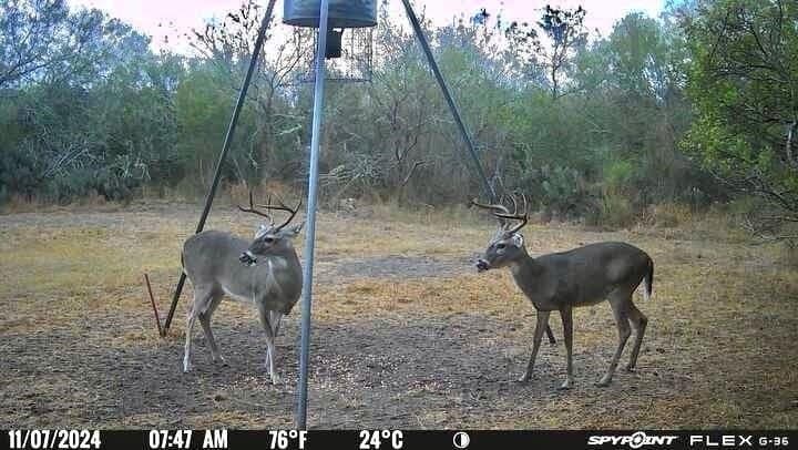 50 acres in Jim Wells County - photo 23