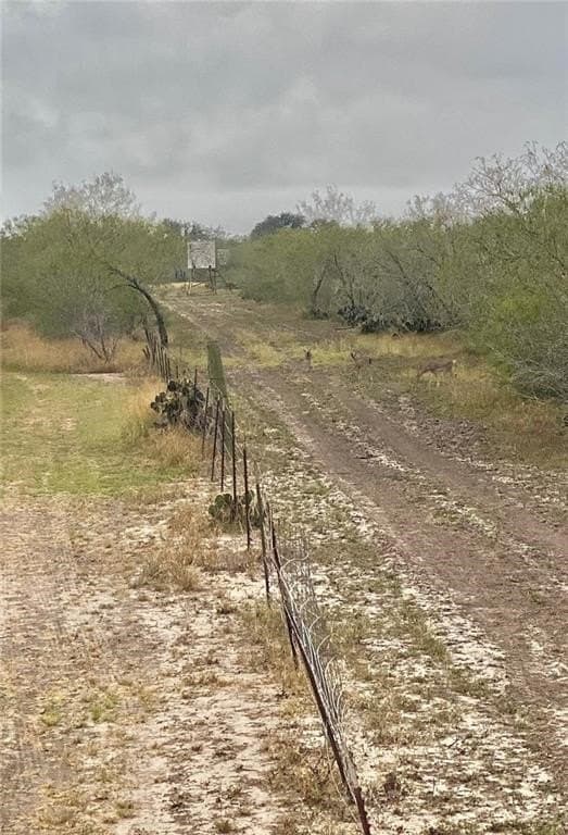 50 acres in Jim Wells County - photo 16