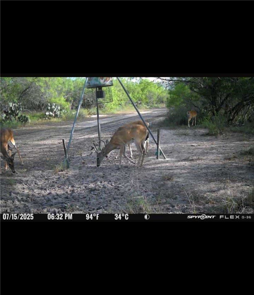 50 acres in Jim Wells County - photo 37