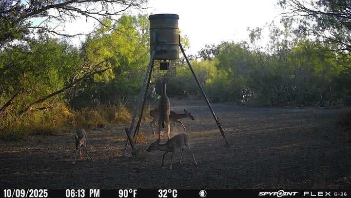 50 acres in Jim Wells County - photo 31
