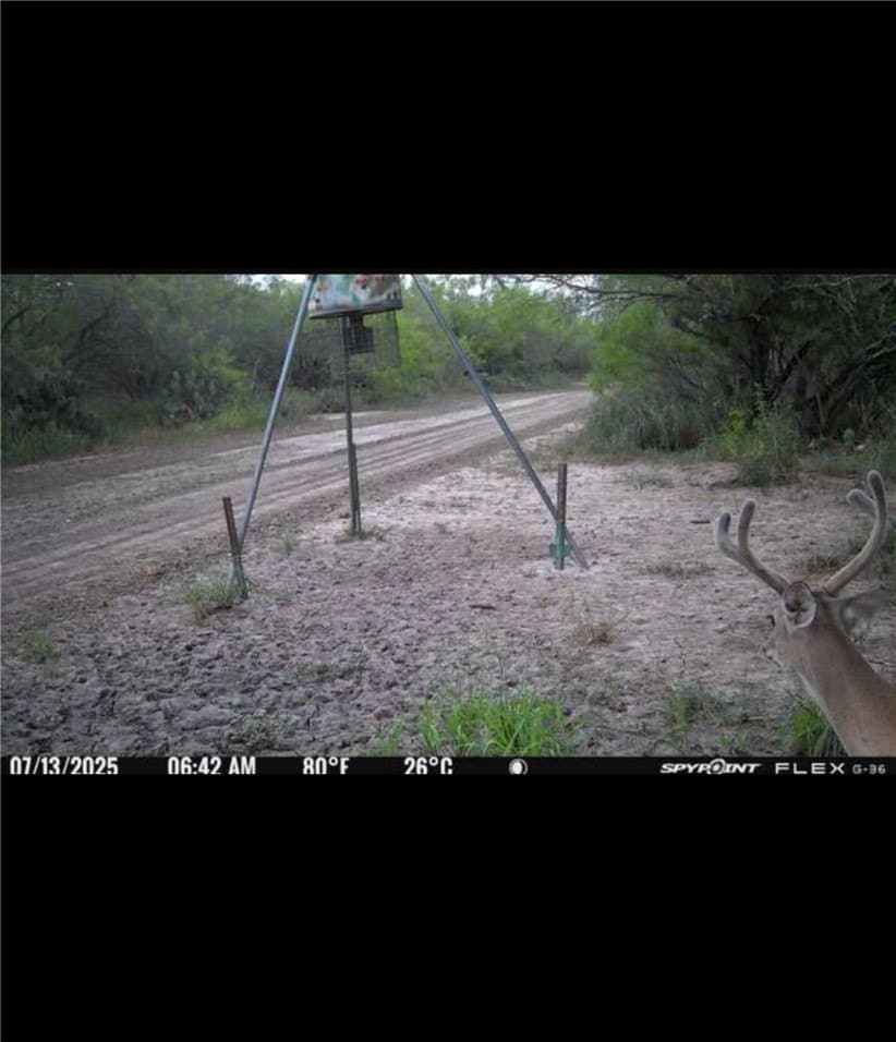 50 acres in Jim Wells County - photo 36