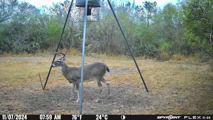 50 acres in Jim Wells County - photo 20