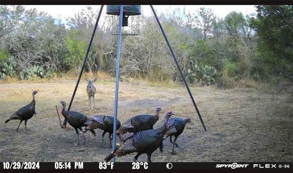 50 acres in Jim Wells County - photo 14