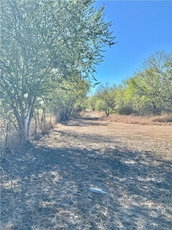 50 acres in Jim Wells County - photo 11