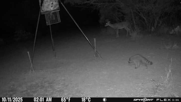 50 acres in Jim Wells County - photo 40