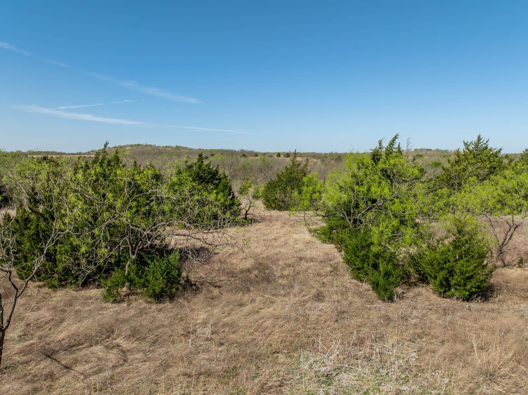 2.97 acres in Ellis County - photo 19