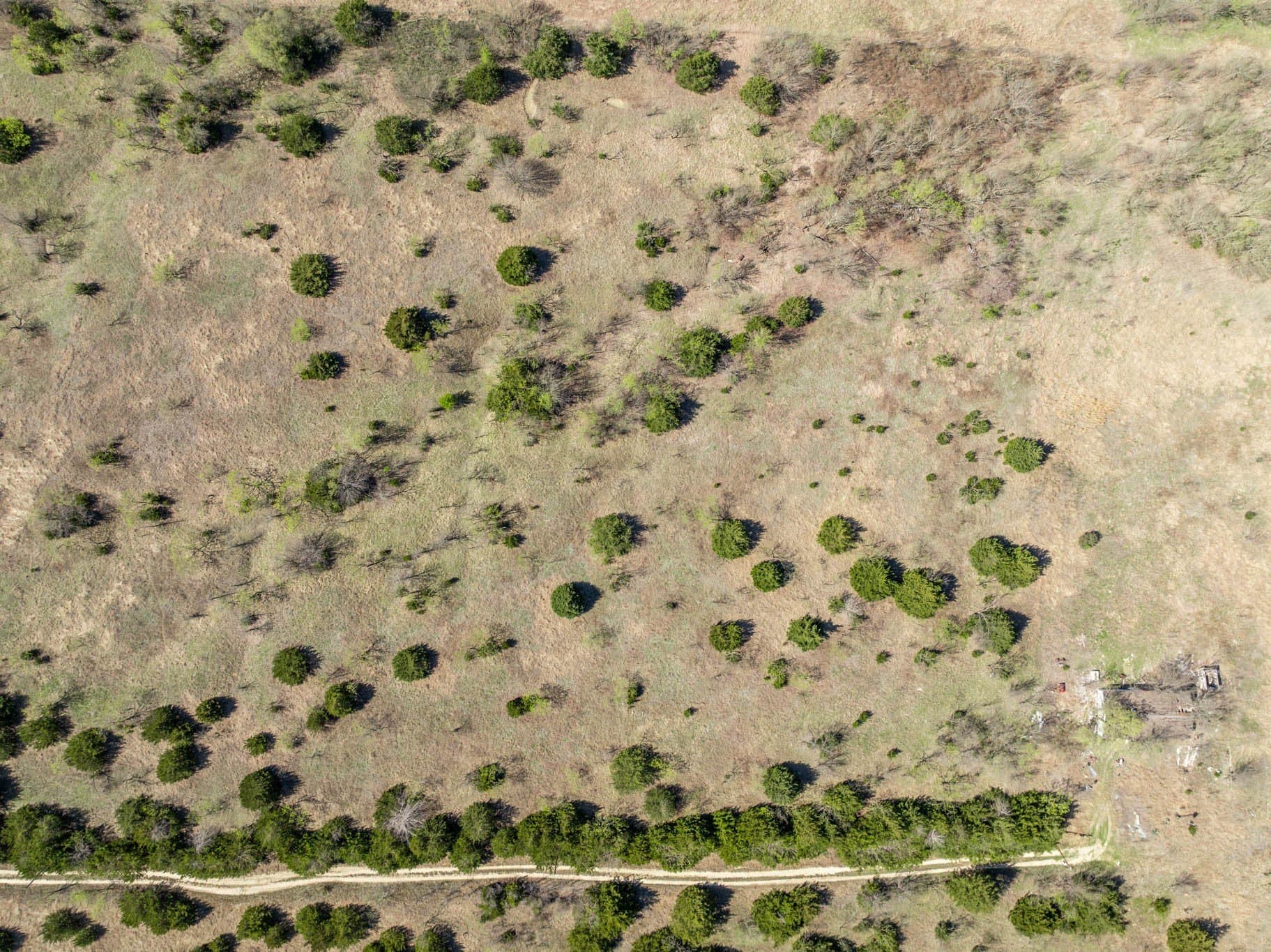 2.97 acres in Ellis County - photo 5