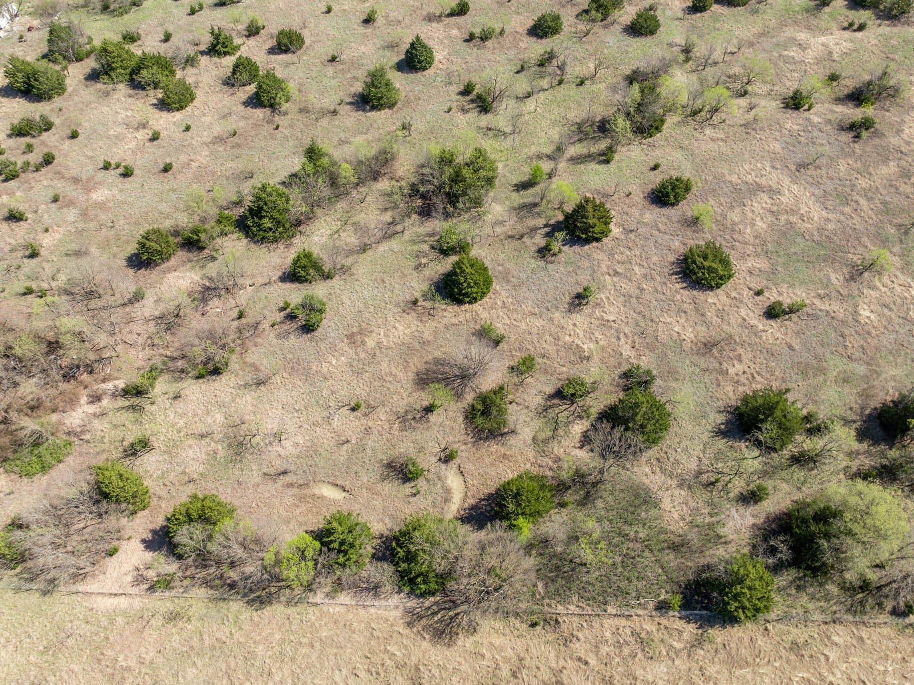 2.97 acres in Ellis County - photo 12