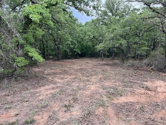 35 acres in Jack County gallery image 4