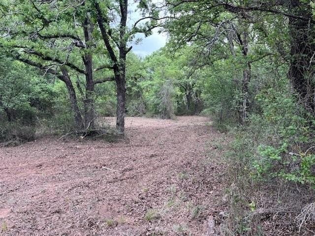 35 acres in Jack County featured view