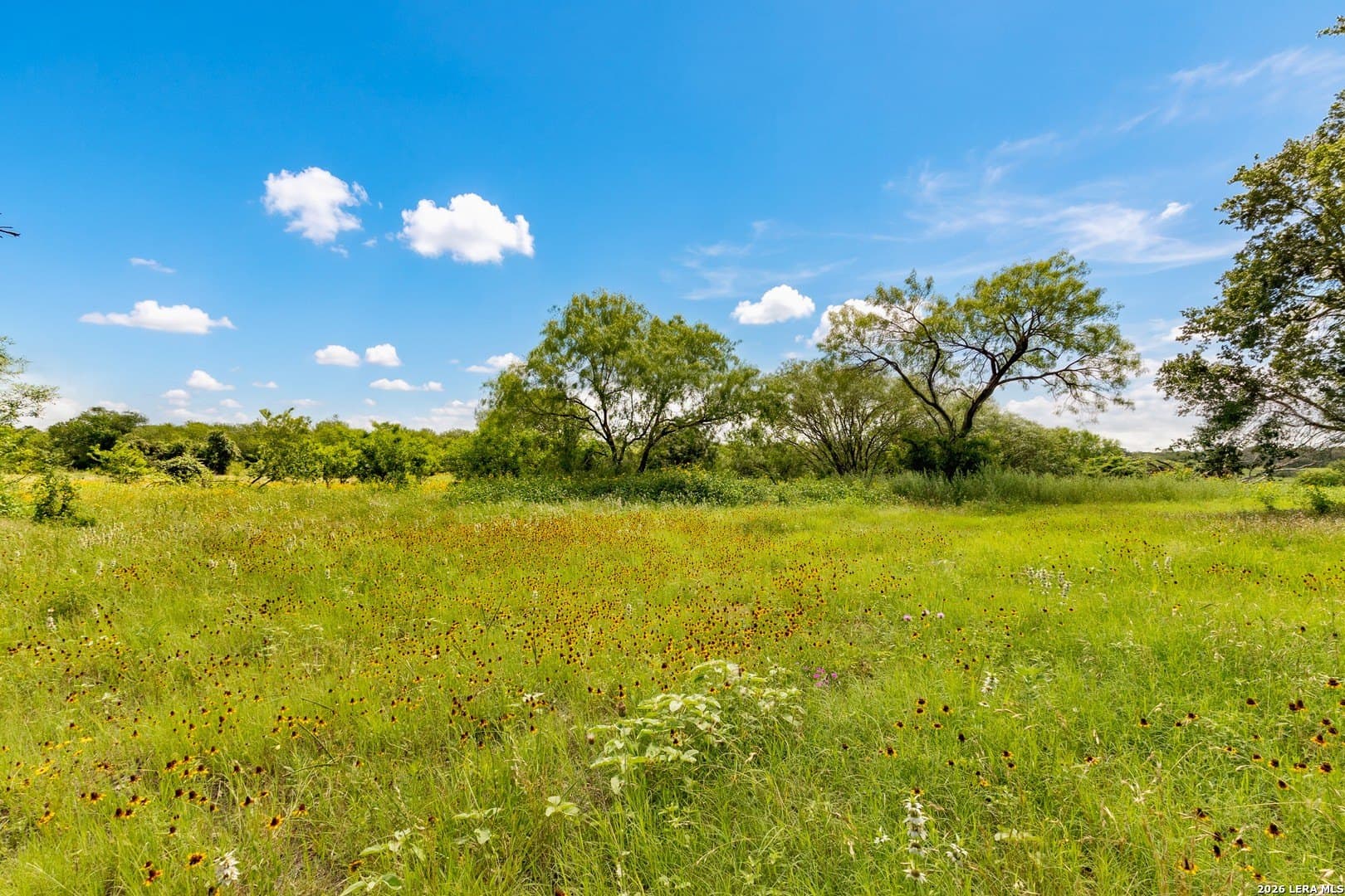 44.94 acres in Guadalupe County - photo 23
