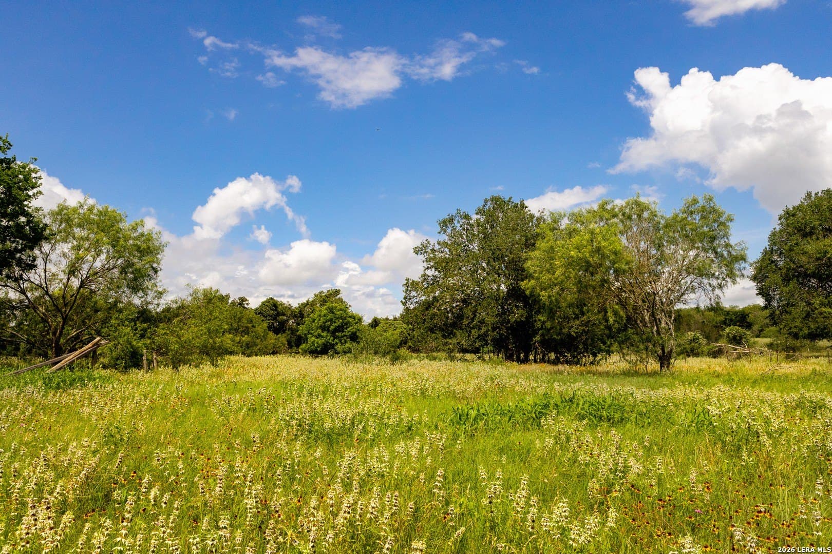 44.94 acres in Guadalupe County - photo 26
