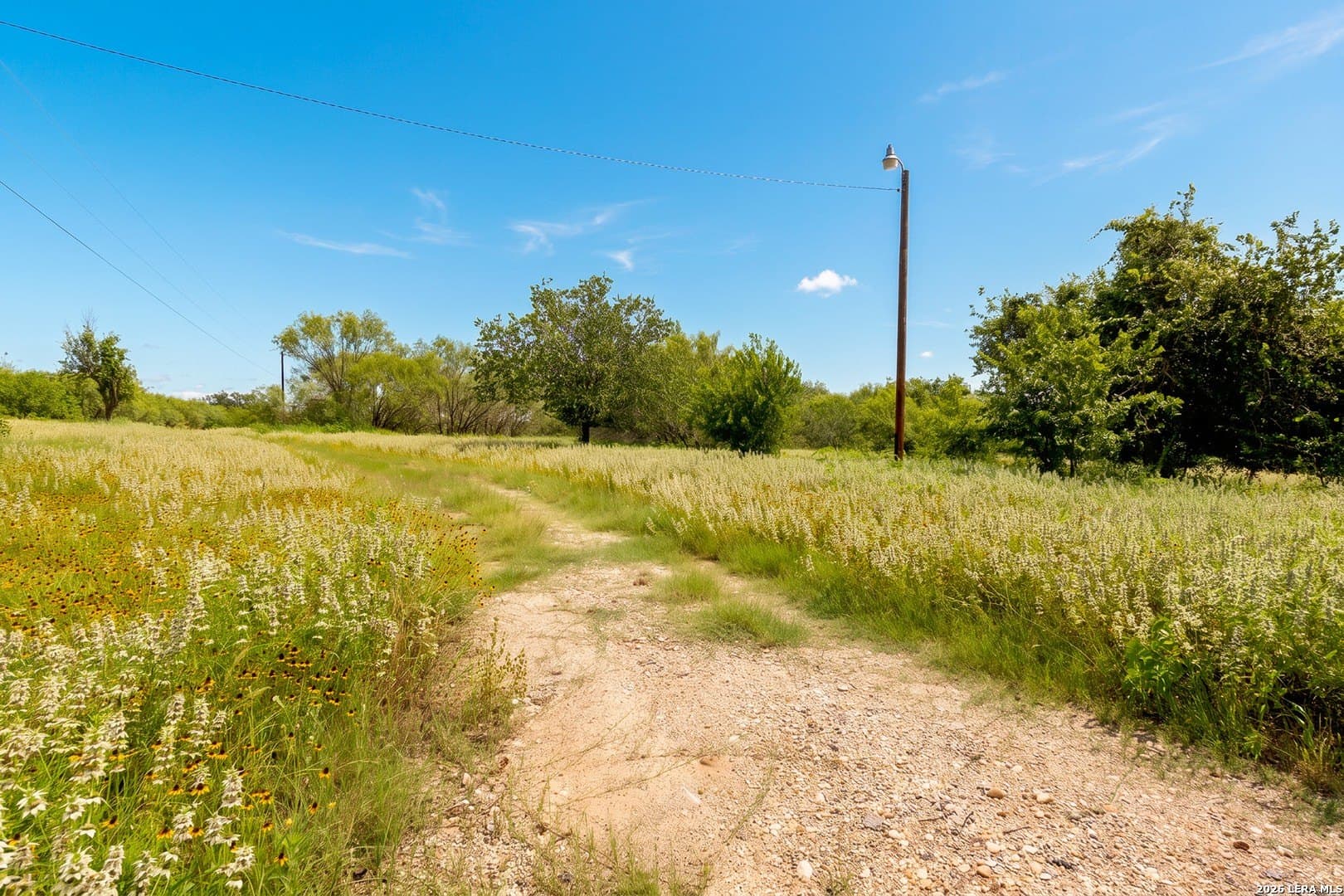 44.94 acres in Guadalupe County - photo 7