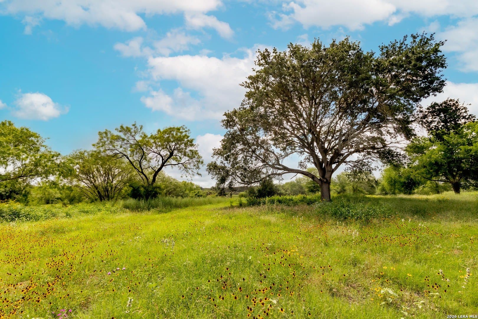 44.94 acres in Guadalupe County - photo 19