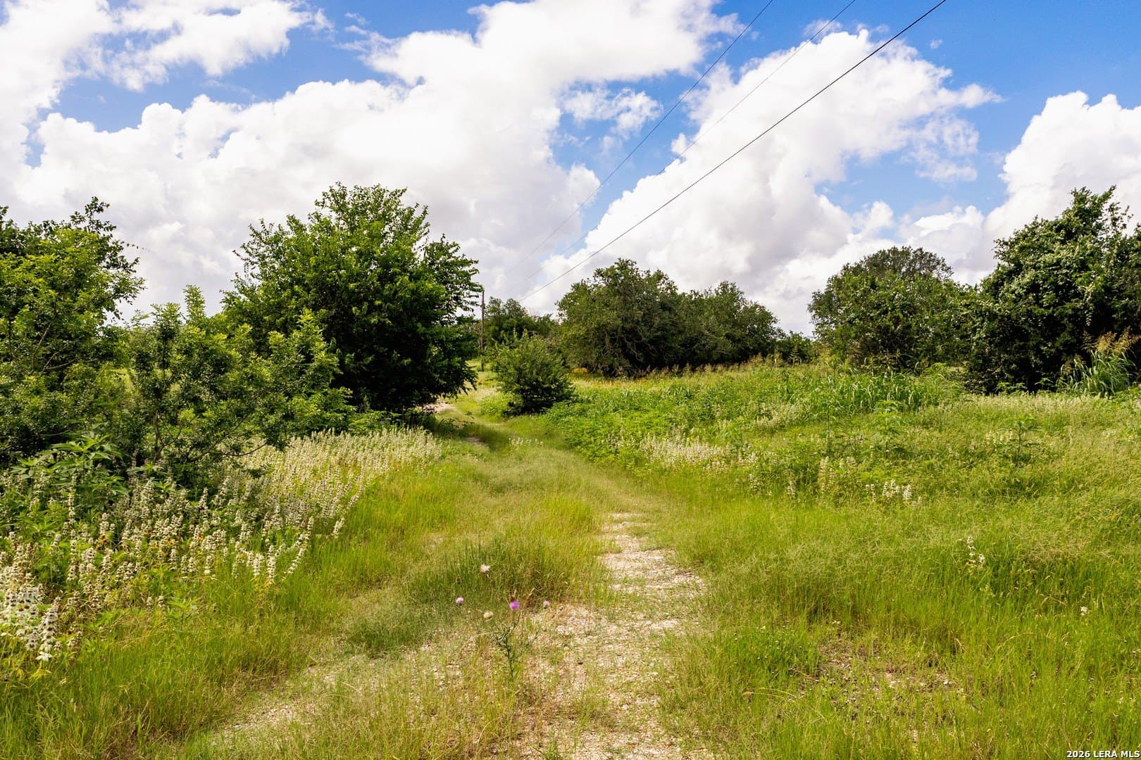 44.94 acres in Guadalupe County - photo 10