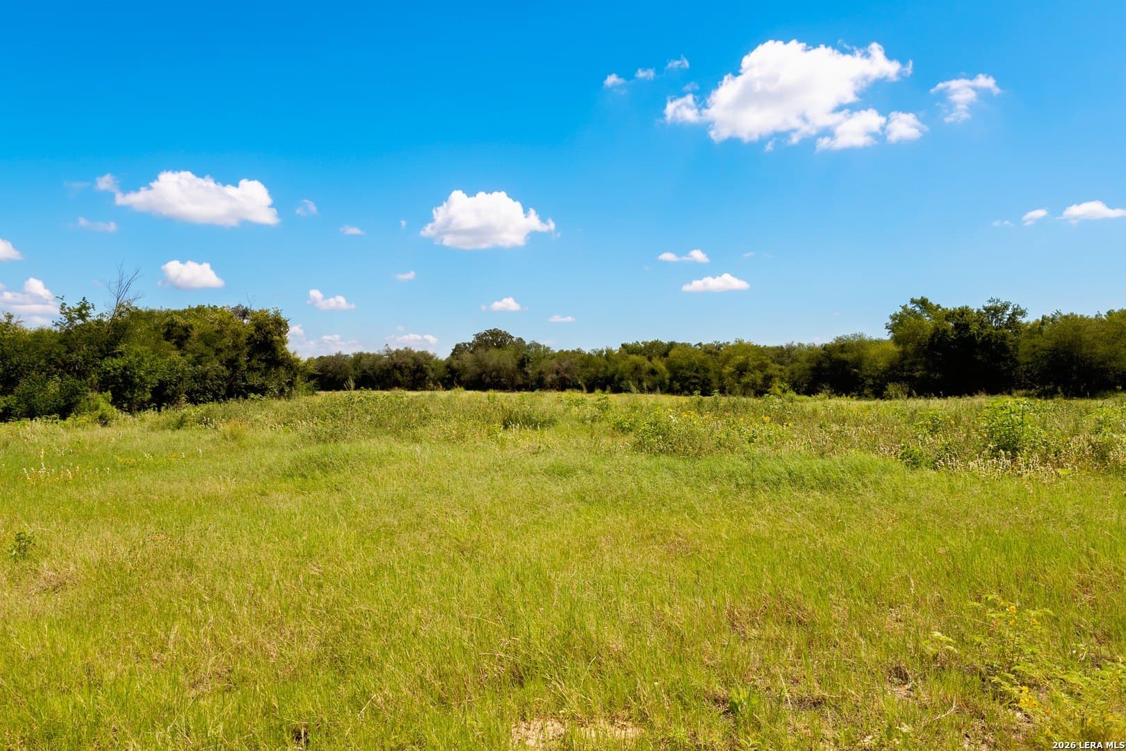 44.94 acres in Guadalupe County - photo 13