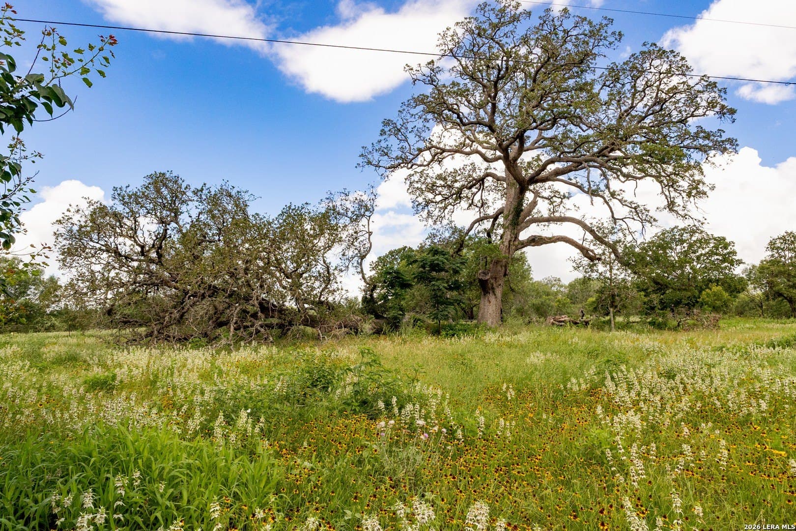 44.94 acres in Guadalupe County - photo 11