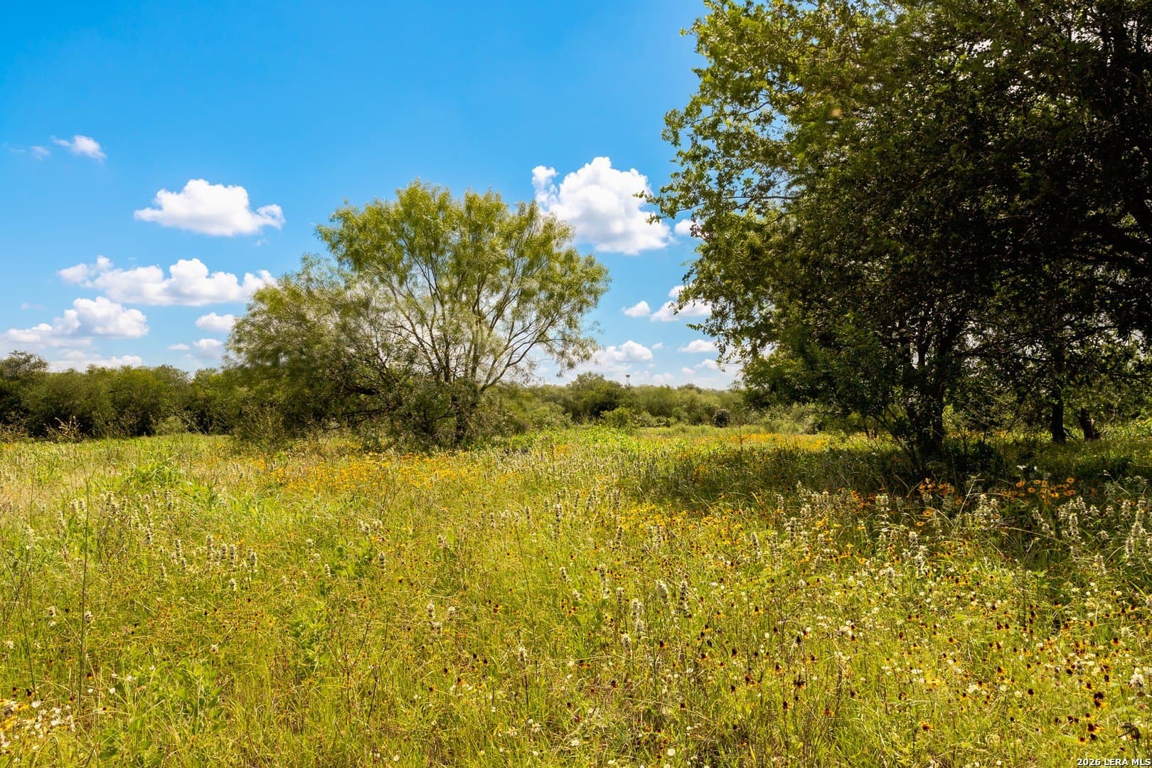 44.94 acres in Guadalupe County - photo 17
