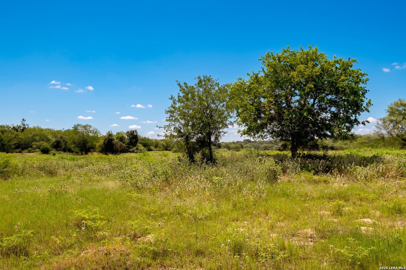 44.94 acres in Guadalupe County - photo 12