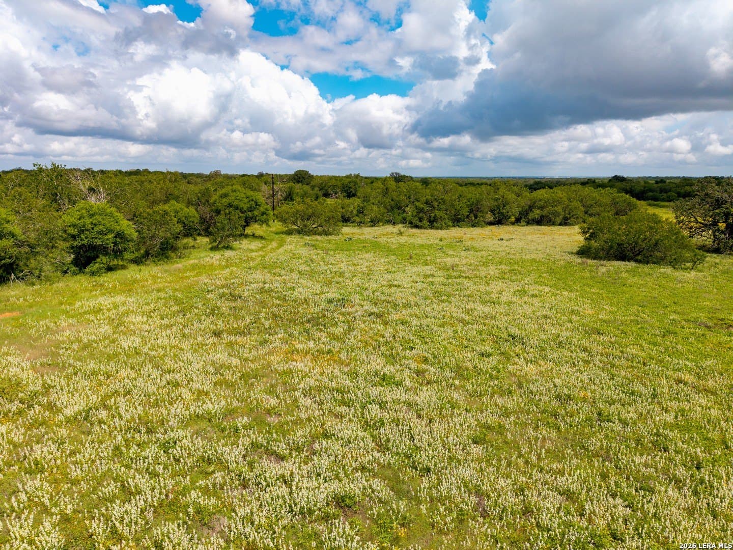 44.94 acres in Guadalupe County - photo 8