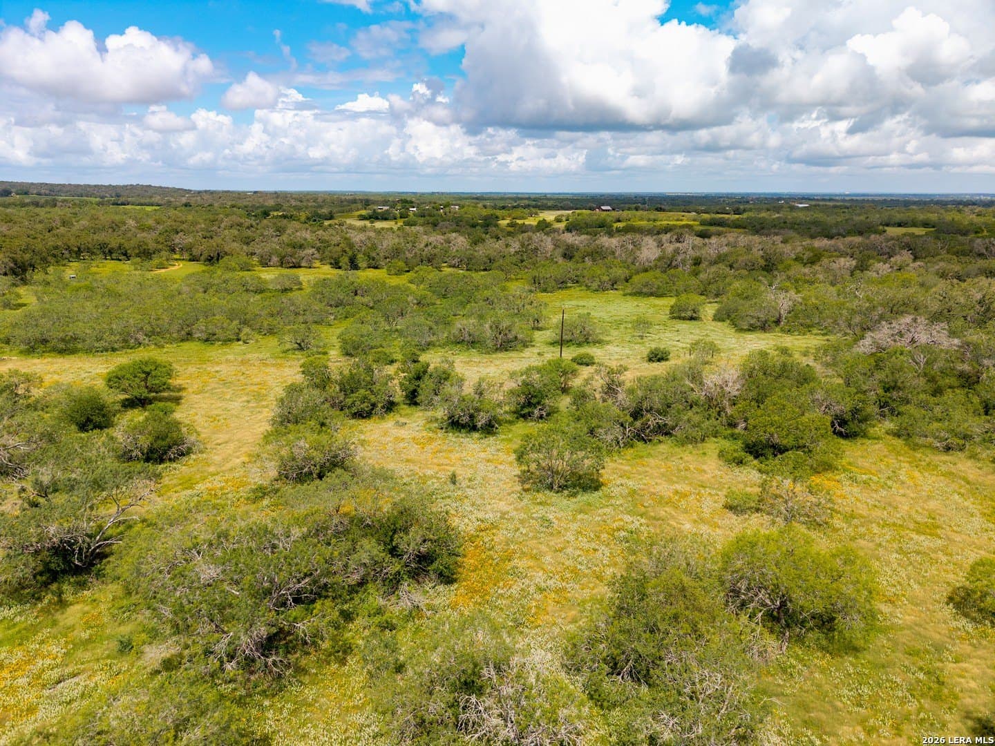 44.94 acres in Guadalupe County - photo 6