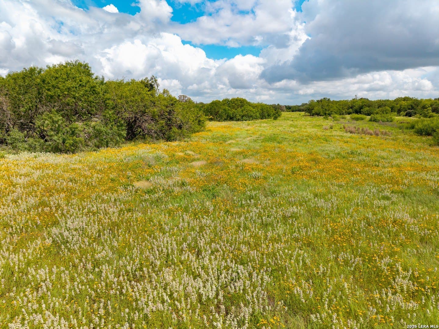 44.94 acres in Guadalupe County - photo 9