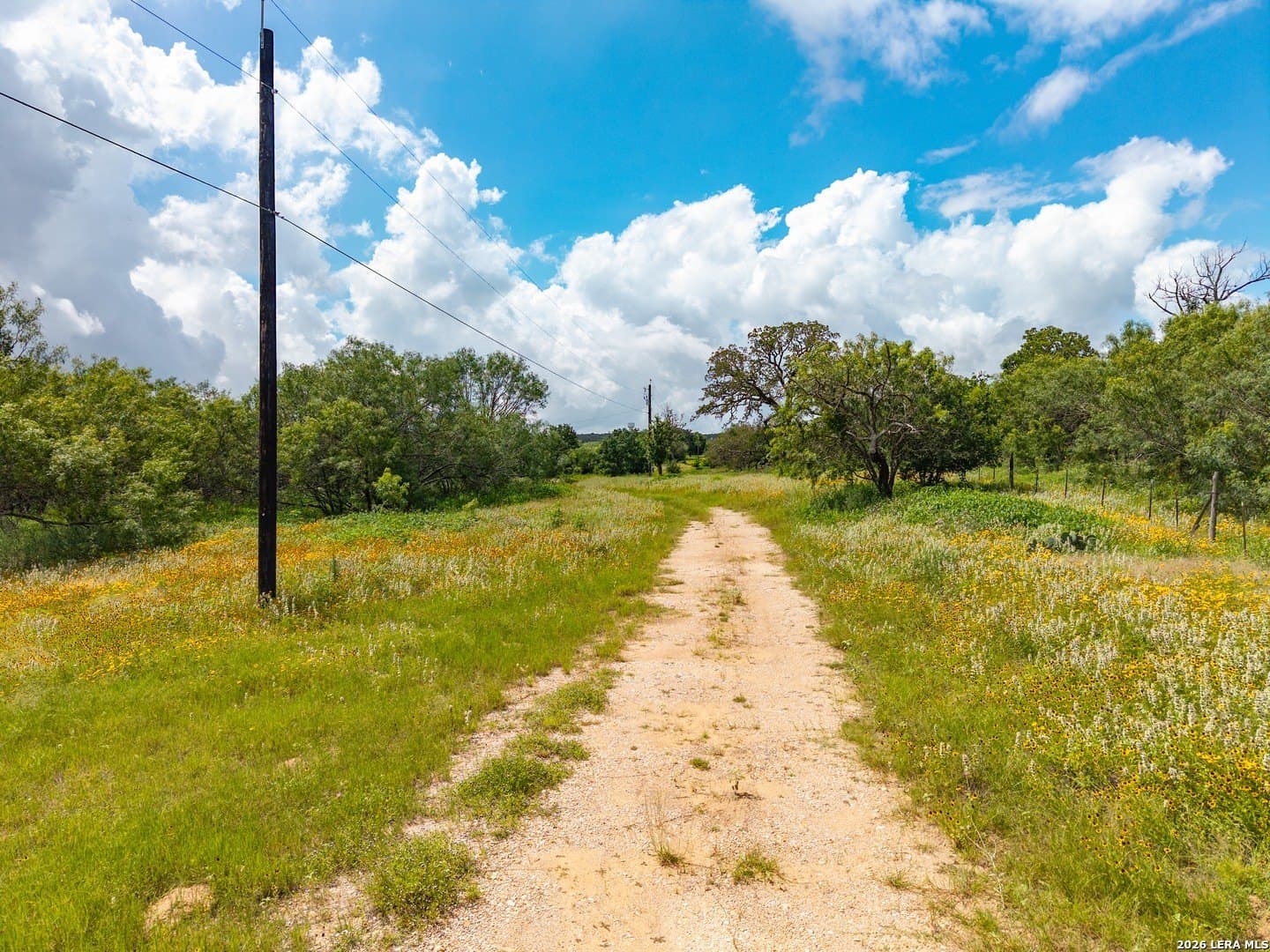 44.94 acres in Guadalupe County - photo 22