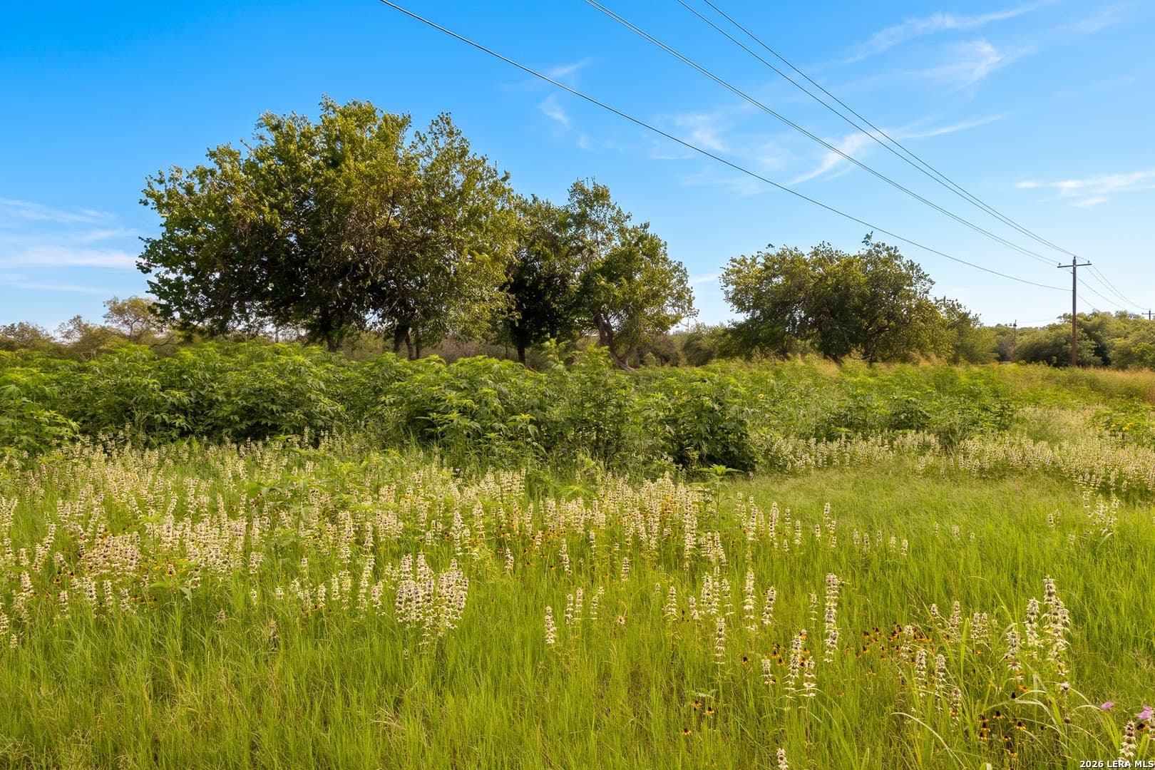 44.94 acres in Guadalupe County featured view