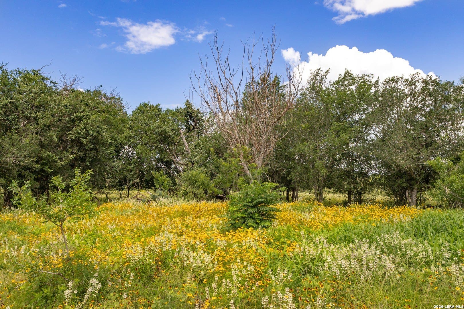 44.94 acres in Guadalupe County - photo 20