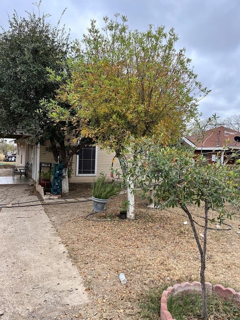 20,000 acres in Maverick County