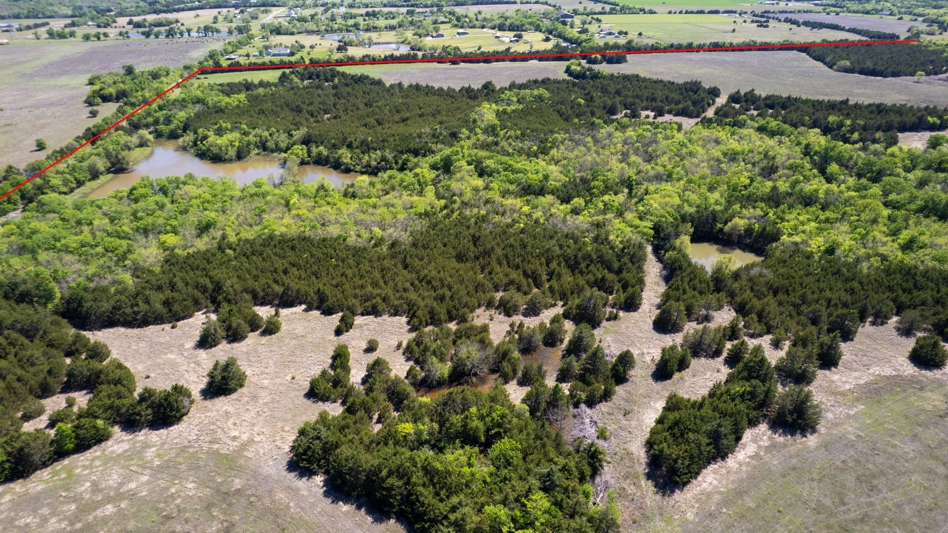 101.5 acres in Fannin County - photo 15