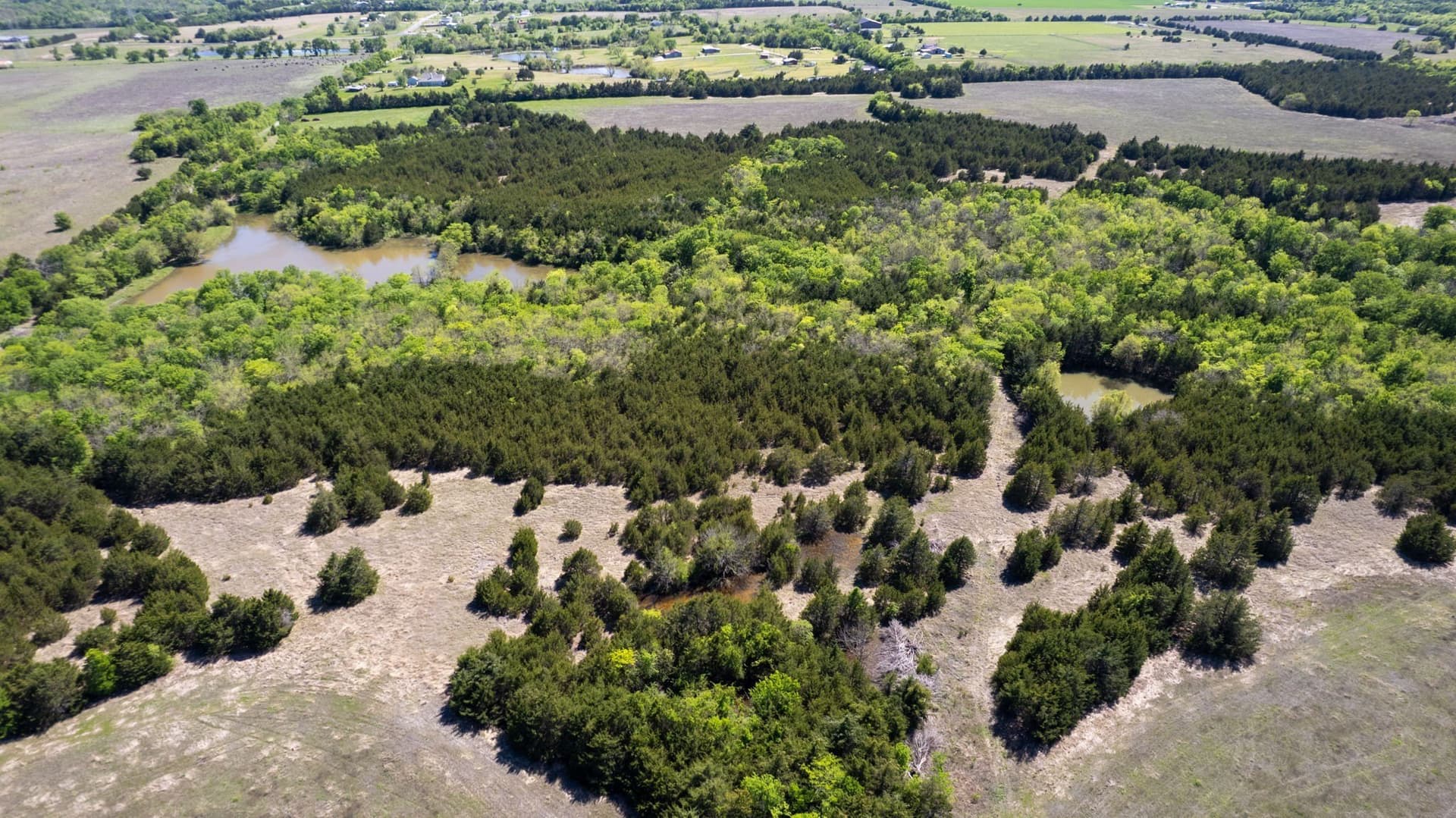 101.5 acres in Fannin County - photo 8