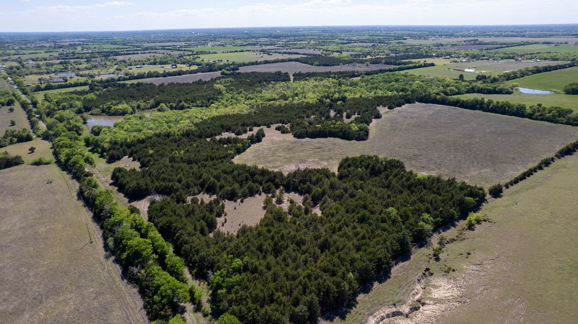 101.5 acres in Fannin County - photo 10