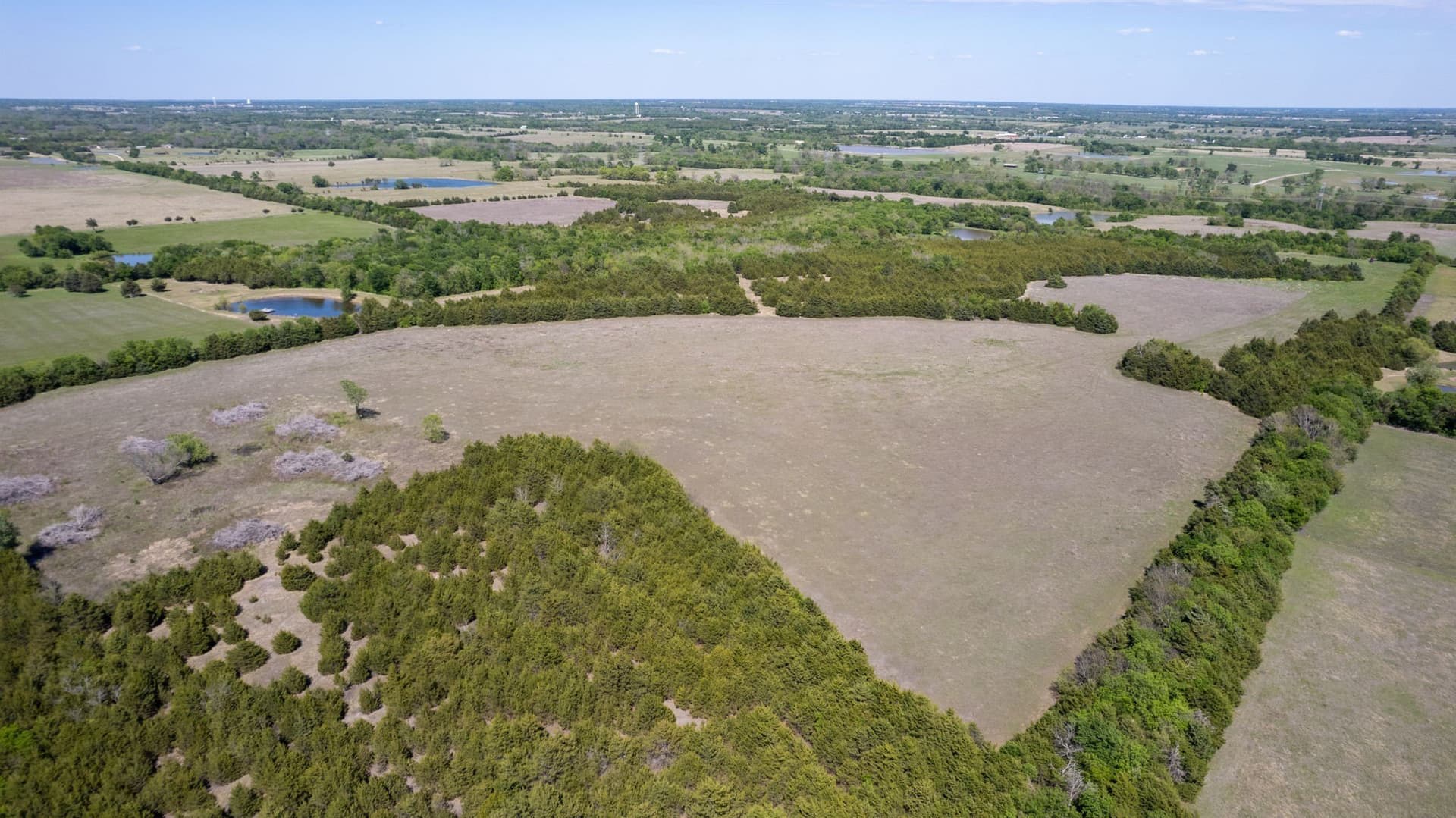 101.5 acres in Fannin County - photo 12