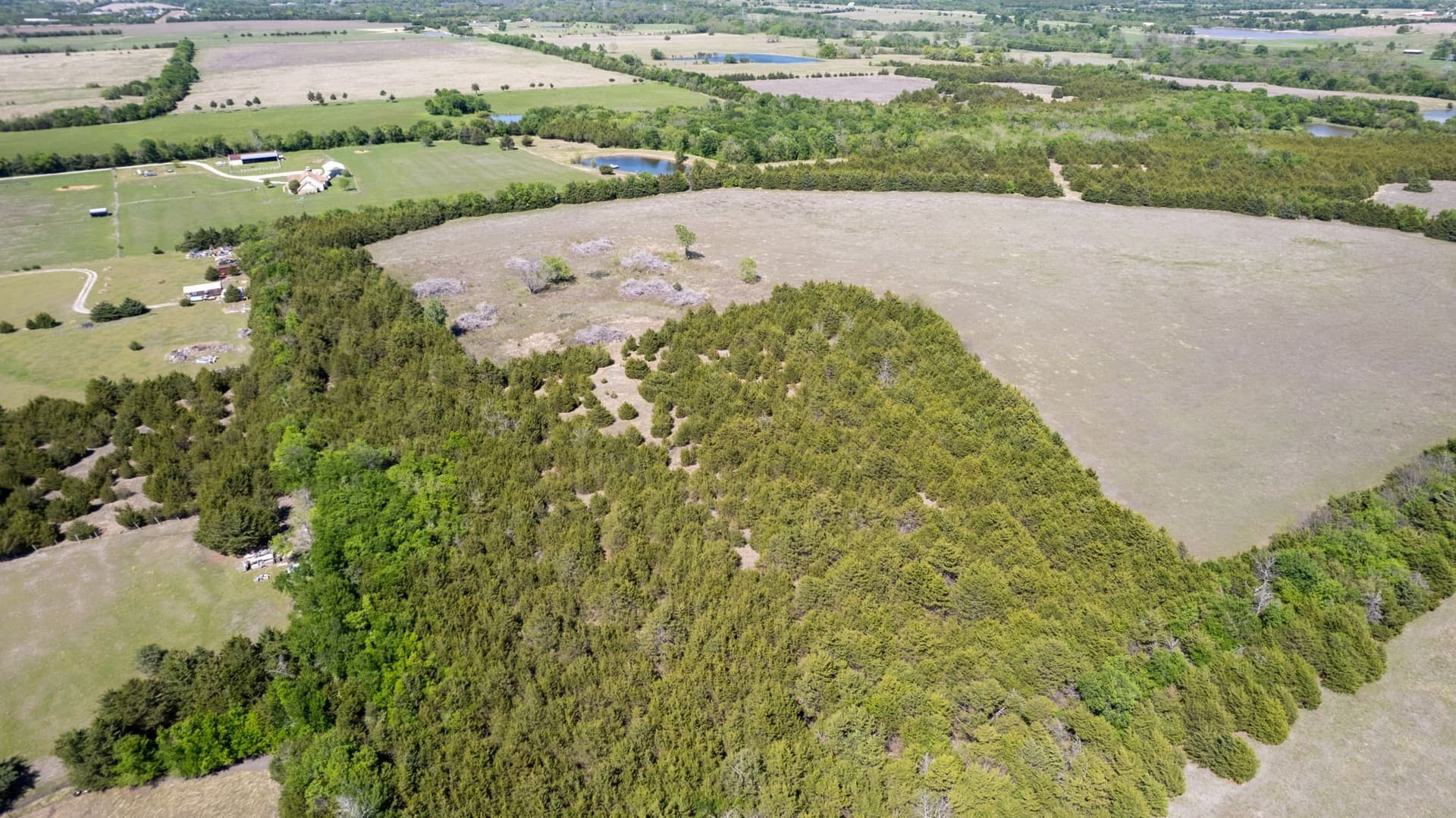 101.5 acres in Fannin County - photo 13