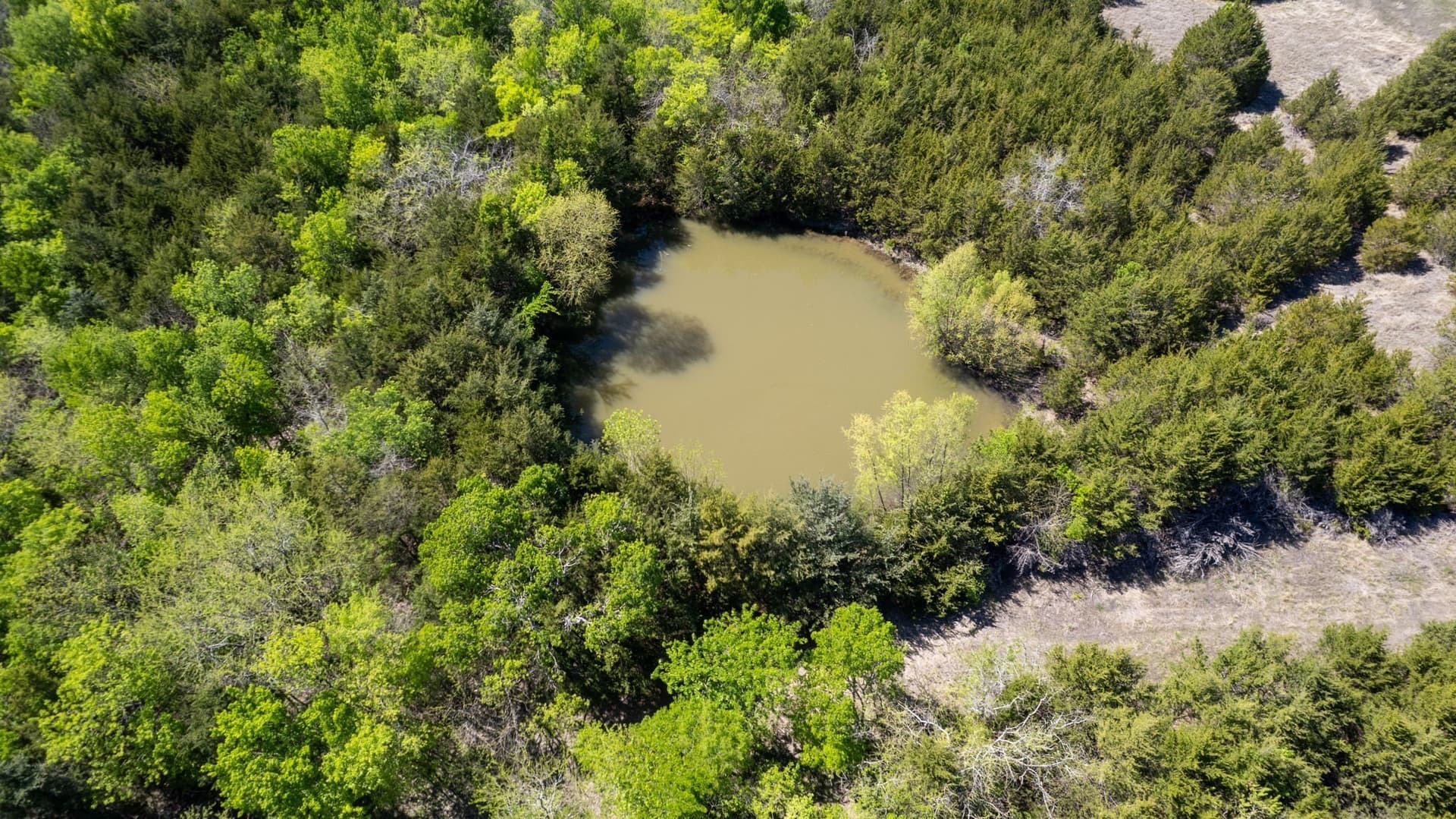 101.5 acres in Fannin County - photo 3