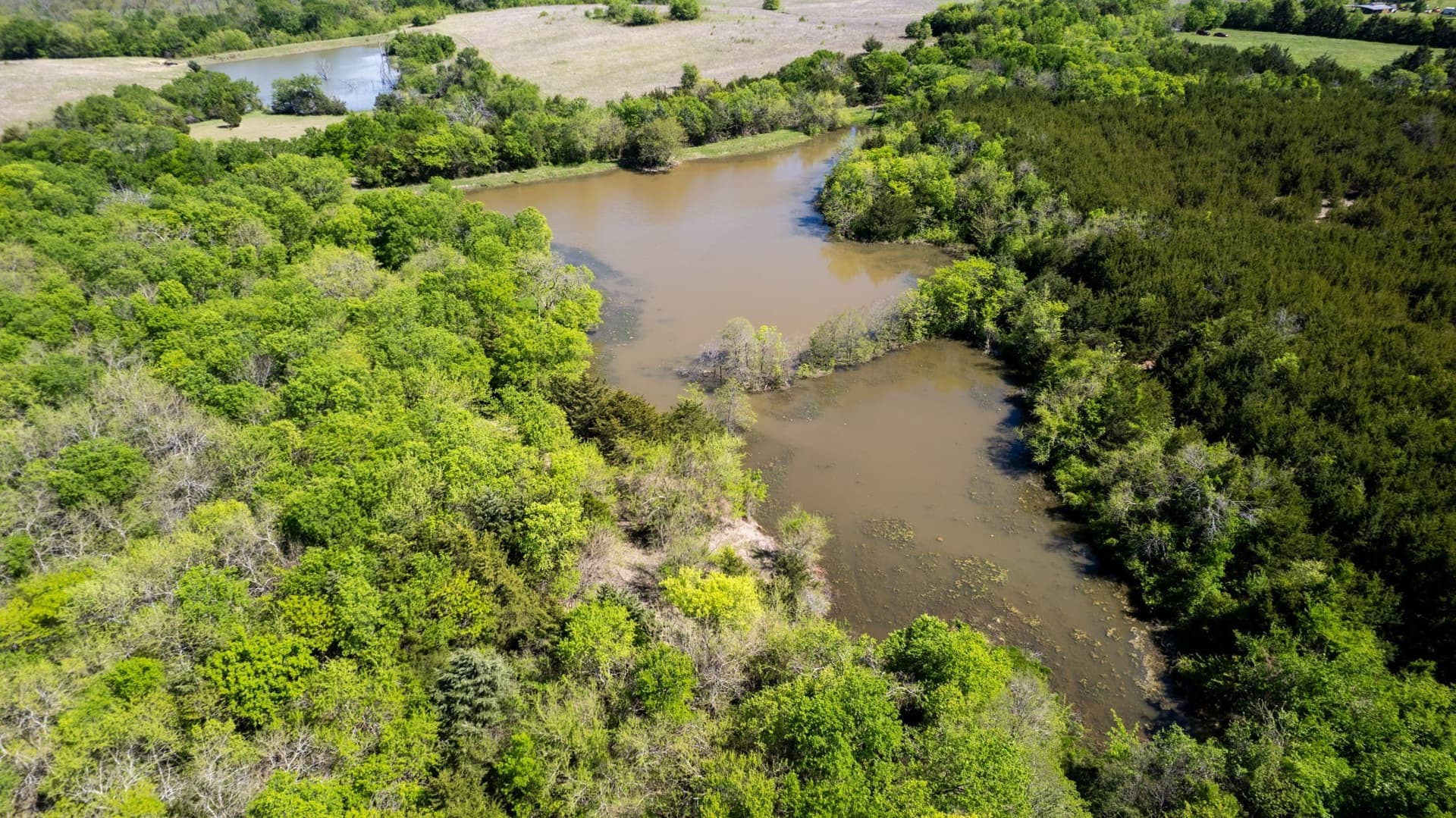 101.5 acres in Fannin County - photo 4