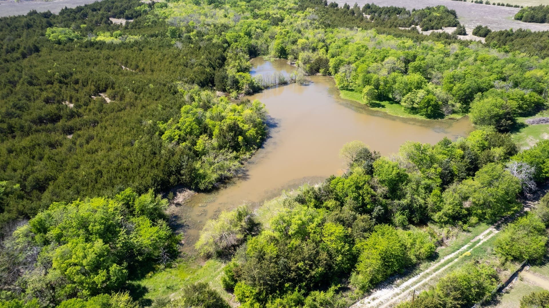 101.5 acres in Fannin County - photo 5
