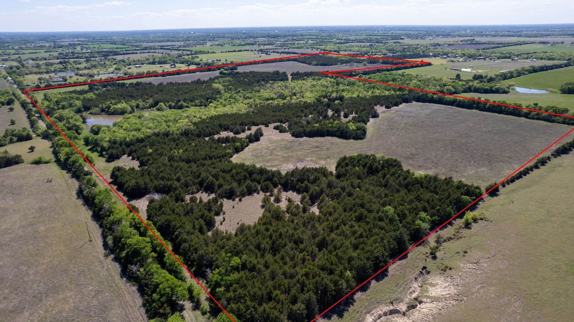 101.5 acres in Fannin County - photo 17