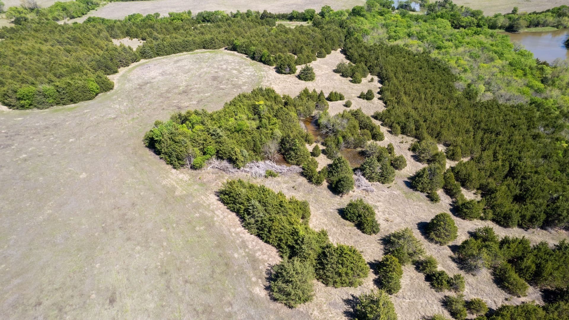 101.5 acres in Fannin County - photo 7